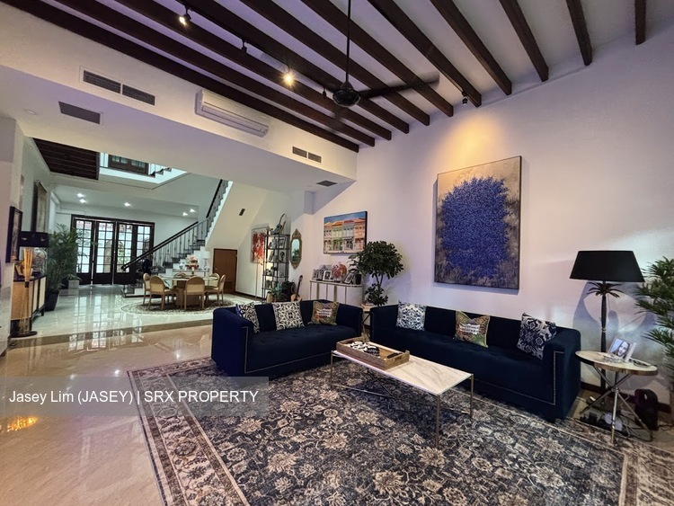 Cairnhill Road (D9), Terrace #539678391